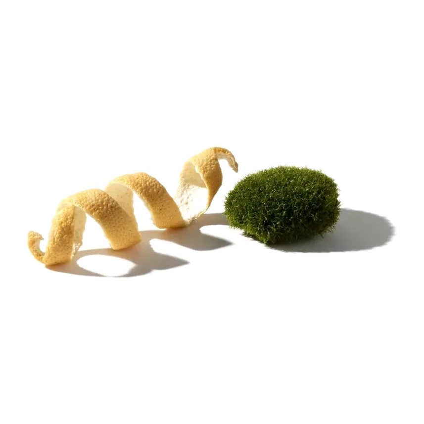 Спираль подсохшей лимонной корки и кусочек зелёного мха
